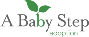A Baby Step Adoption